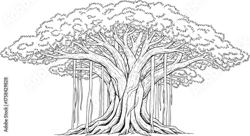 
Nopal silhouette. This image shows a design of a nopal cactus silhouette, also known as prickly pear cactus. Vector clipart illustration design.