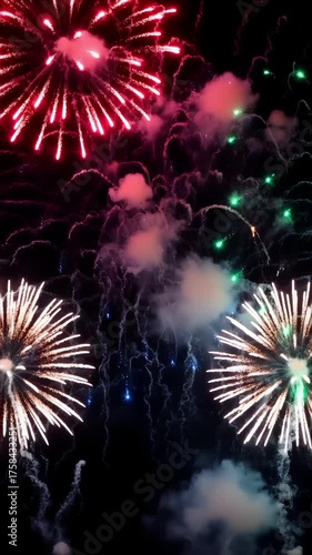 Fireworks in the night sky
