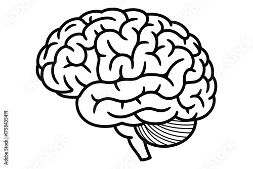 Scalable vector line art illustration of a human brain in eps format silhouette