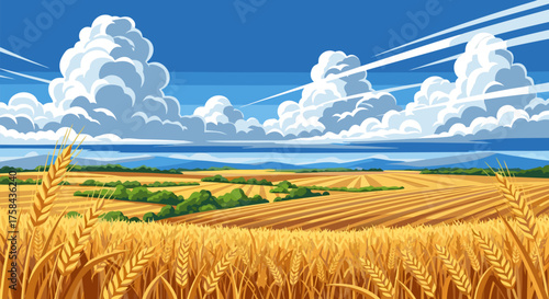 Vast golden wheat field under a dramatic blue sky with fluffy white clouds, showcasing rural agricultural abundance and the beauty of nature's bounty