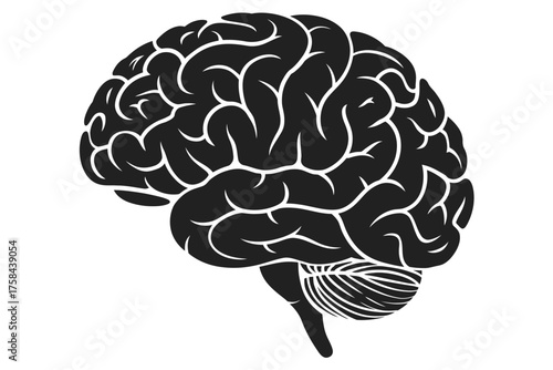 Black and white illustration of a human brain vector graphic for medical and scientific concepts silhouette