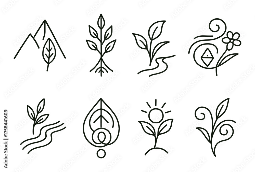 Fototapeta premium Nature-inspired minimalist line art: botanical and geometric designs on olive background