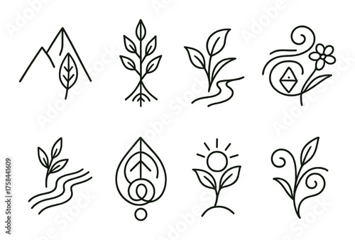 Nature-inspired minimalist line art: botanical and geometric designs on olive background
