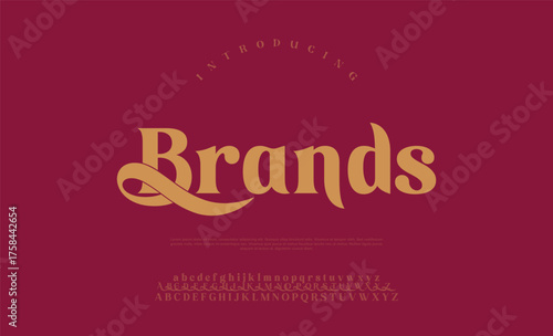 Elegant serif font with modern flourishes and clean structure, perfect for timeless editorial and fashion branding

