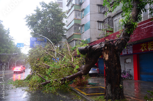 Devastation in Jiangmen: Aftermath of Super Typhoon Ragasa Strikes Guangdong,China.