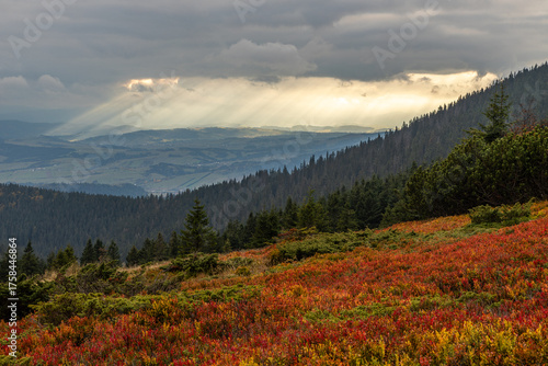 Fototapeta Naklejka Na Ścianę i Meble -  Mountain sun rays