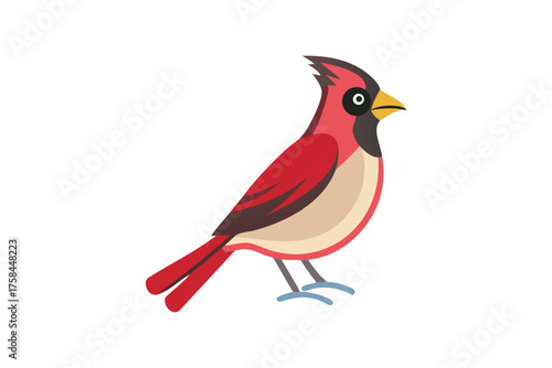 A colorful illustration of a northern cardinal perched gracefully on a branch
