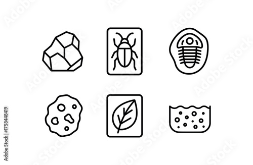 simple outline stroke icon isolated on white background Science Museum mineral specimen preserved insect specimen fossil trilobite specimen meteorite iron specimen leaf macro specimen