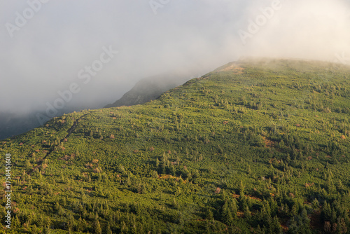 Fototapeta Naklejka Na Ścianę i Meble -  Mountain in the fog