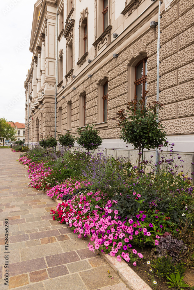 Naklejka premium Beautiful facade garden with colorful flowers like verbena and petunia along historical builidng in Oradea in Romania