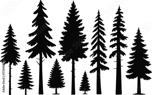 Black and white silhouette illustration of tall pine trees showing natural forest landscape with various evergreen conifer shapes and details