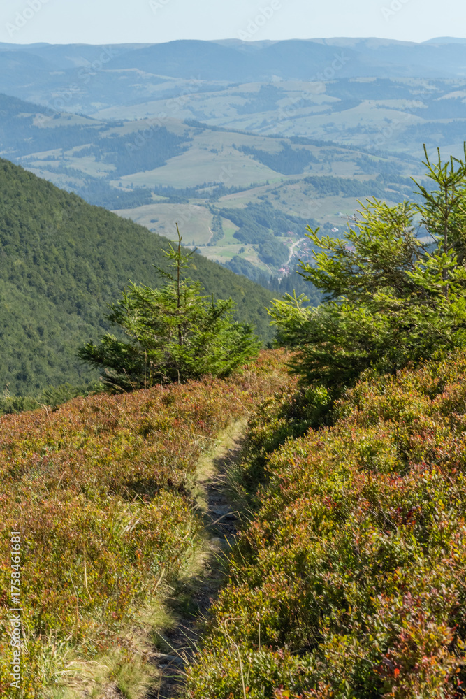 Fototapeta premium Scenic Mountain Trail in Borzhava Valley, Carpathians at Late Summer