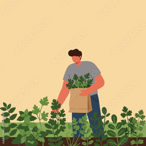 Flat illustration of a person harvesting fresh herbs in a garden