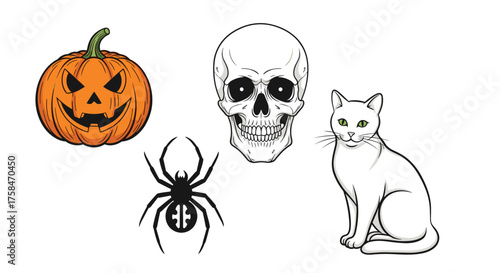 Spooky Halloween symbols like a carved pumpkin skull spider and black cat.
