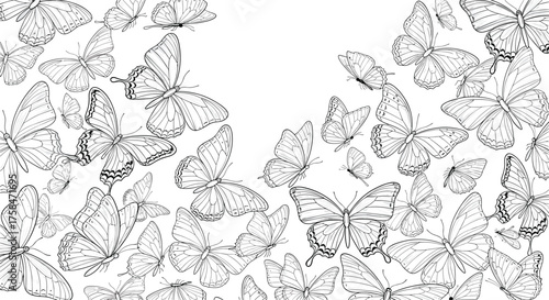 A swarm of delicate butterflies fills the frame in a beautiful black and white sketch.