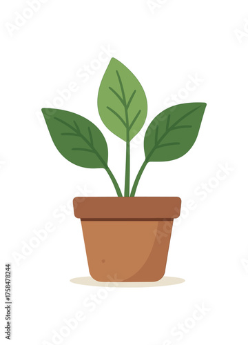 potted plant eco lifestyle flat vector illustration style isolated on white background