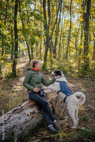 Photographer and hiker woman enjoying walking her dog off-leash in an autumn forest. 