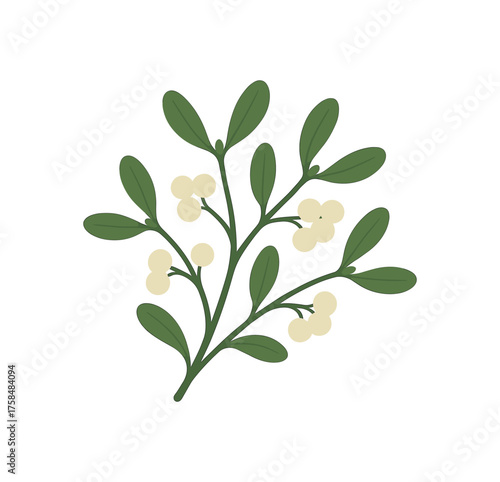 mistletoe branch holiday flat vector illustration style isolated on white background