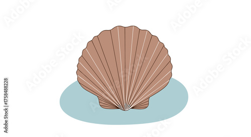 A brown seashell rests on a blue circular surface in white space.