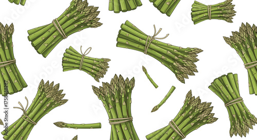 Green asparagus stalks tied with string on a white background.