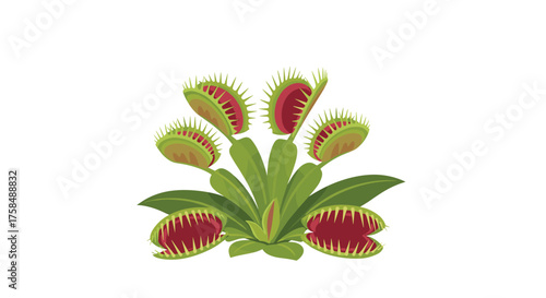 Carnivorous plants that trap insects and other small animals.