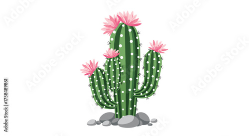 A tall saguaro cactus with multiple arms blooming with pink flowers stands tall amidst gray rocks.