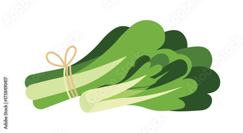 A bunch of fresh bok choy tied with twine.