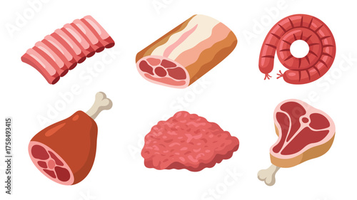 Collection of raw meat products and cuts on white background