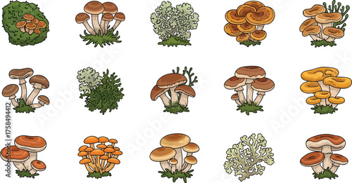 Collection Of Forest Mushrooms And Plants In Pixel Art Style