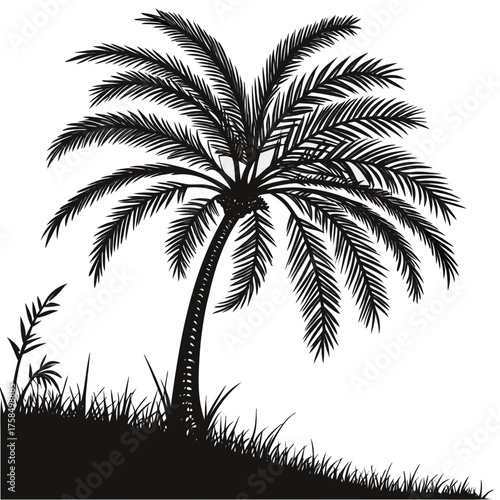palm tree silhouette