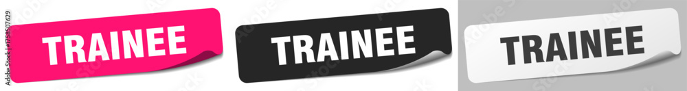 Obraz premium trainee sticker. trainee sticker set on white background