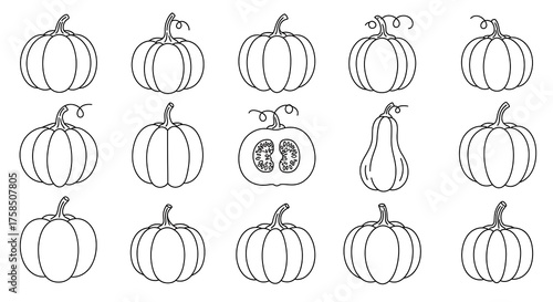 Outlined pumpkin collection isolated vector illustrations for fall harvest designs