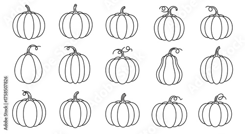 Outlined pumpkins in various shapes and sizes for autumn harvest themes