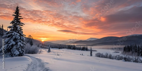 Wallpaper Mural Beautiful winter landscape with snowcovered trees and mountains at sunset Torontodigital.ca
