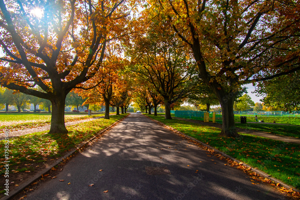 Naklejka premium Trees in autumn color on the Meadows Recreation Ground near the river Trent in Nottingham, UK.