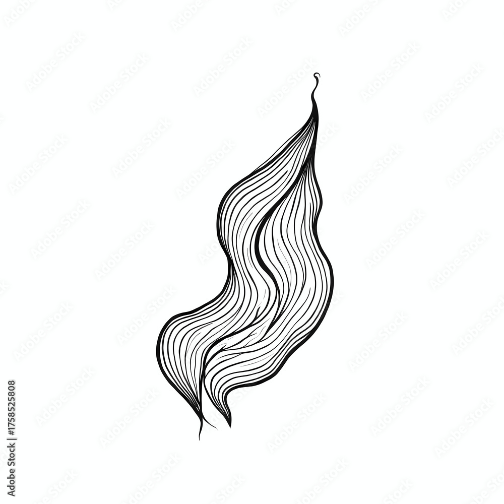 Obraz premium leaf isolated on white background