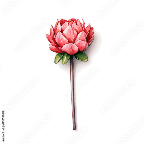 watercolor of Lapel Pin, vector, isolated on a white background.