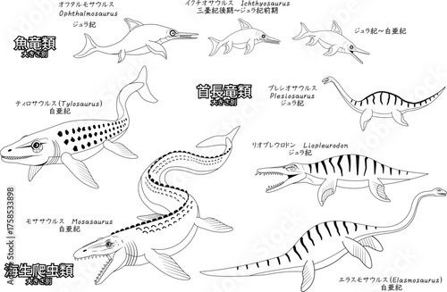 モササウルスなど太古の海生爬虫類や魚竜類　線画のセット