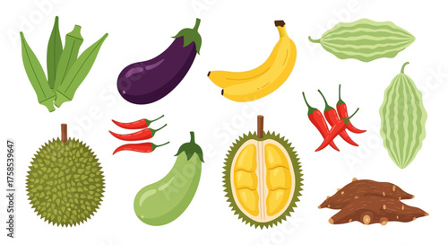 Vibrant vector illustrations of assorted healthy tropical fruits and fresh vegetables, featuring durian, bananas, eggplants, okra, bitter gourds, chili peppers, and taro