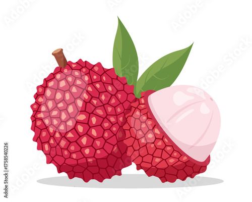 Lychee fruit with leaves. Fresh whole Lychee fruit and peeled half. Vector illustration isolated on white background.