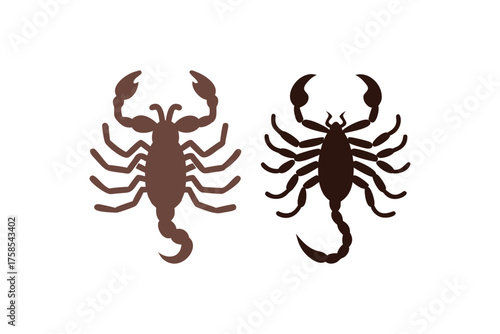 Two detailed illustrations of scorpions side by side in brown tones