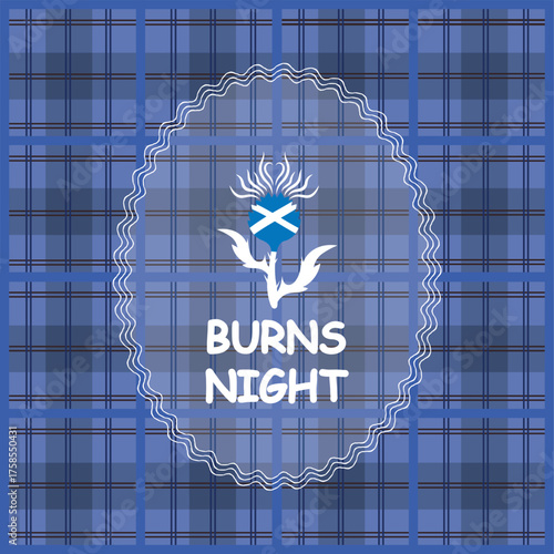 Burns Night Thistle Flower on Tartan Background