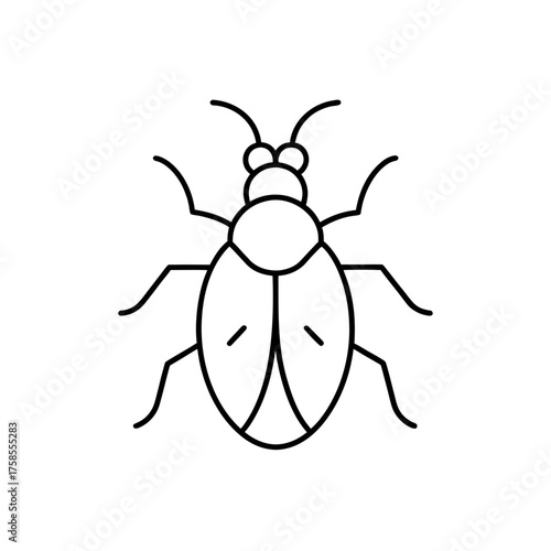 Simple beetle outline illustration on transparent background
