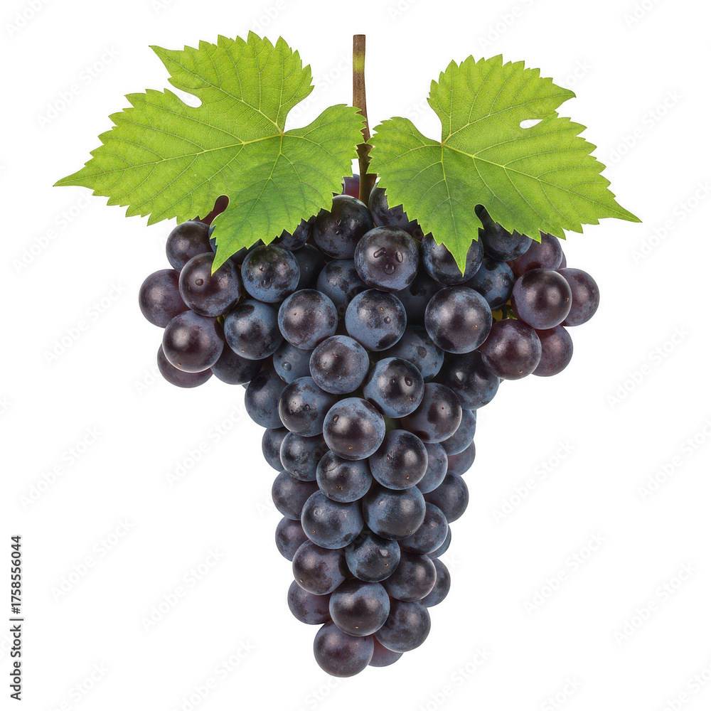 Fototapeta premium Dark purple grapes with green leaves on background fruit food
