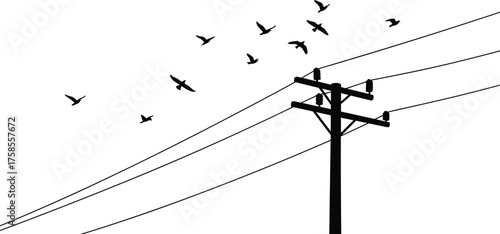Silhouette illustration of birds flying and sitting on electric pole with power lines, minimalist black vector design representing freedom, connection, and urban simplicity