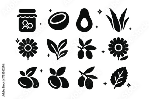Natural Ingredients Icons. Natural Ingredients. Solid icons set of Natural Ingredients: Honey, Coconut, Avocado, Aloe Leaf, Chamomile Flower, Green Tea Leaf,