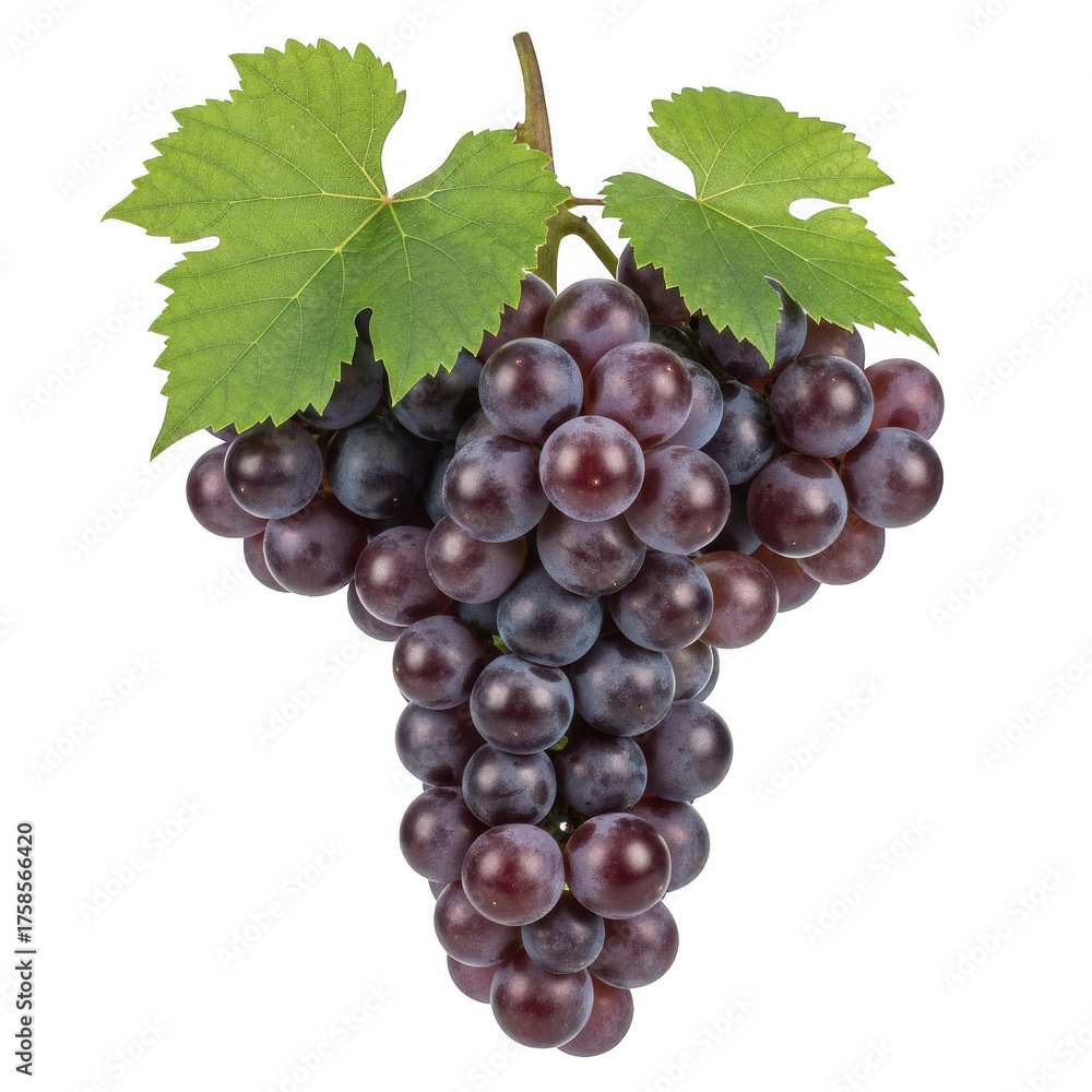 Fototapeta premium Ripe Red Grapes with Green Leaves on Background purple fruit