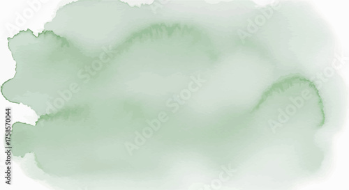 Abstract hand-painted sage green watercolor splash texture on an isolated white background, vector graphic design element