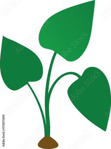 Stylized Taro Plant with Three Green Leaves and Brown Soil Base Illustration
