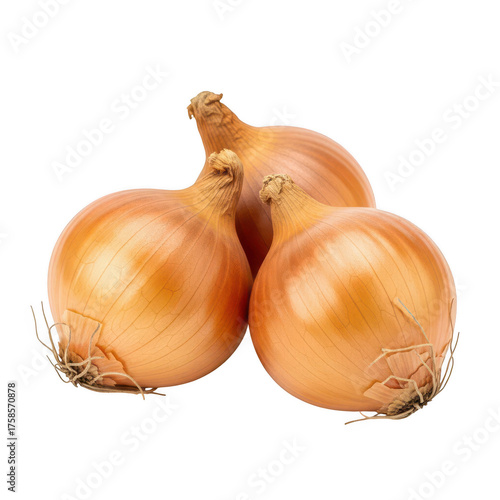 Wallpaper Mural Three golden brown onions with roots and dry skins on background vegetable food Torontodigital.ca